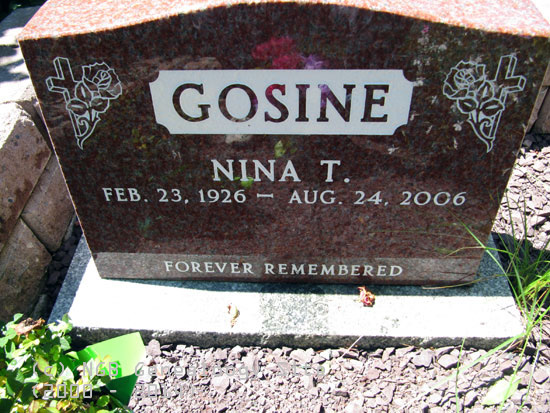 Nina Gosine