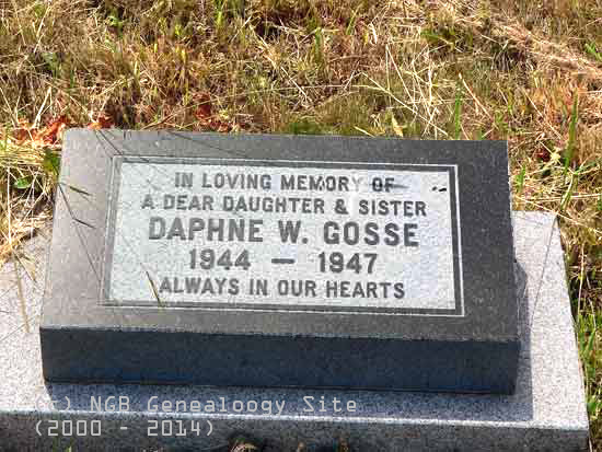 Daphne Goose