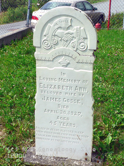 Elizabeth Ann Gosse