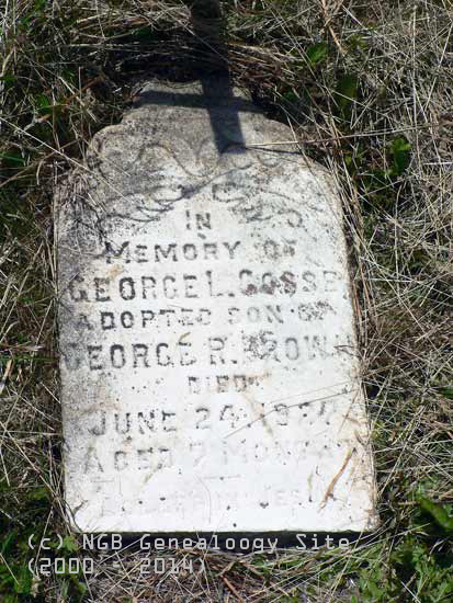 George Goose