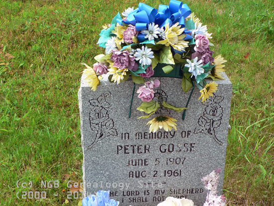 Peter Gosse