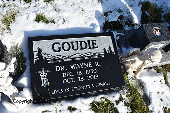 Dr. Wayne R. Goudie