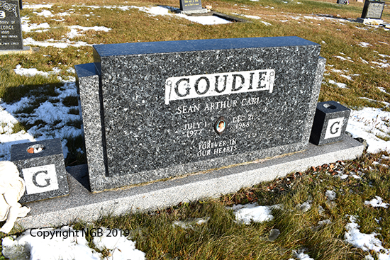 Sean Arthur Carl Goudie