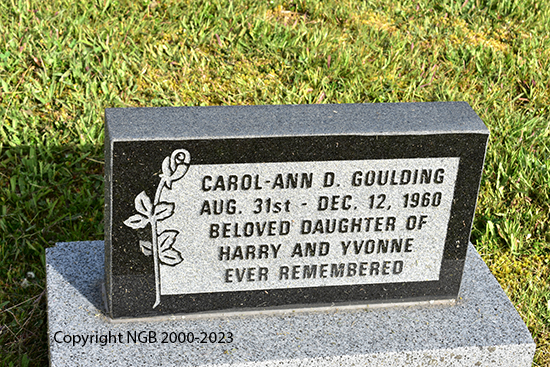 Carol-Ann D. Goulding