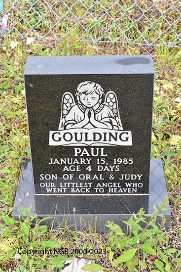 Paul Goulding