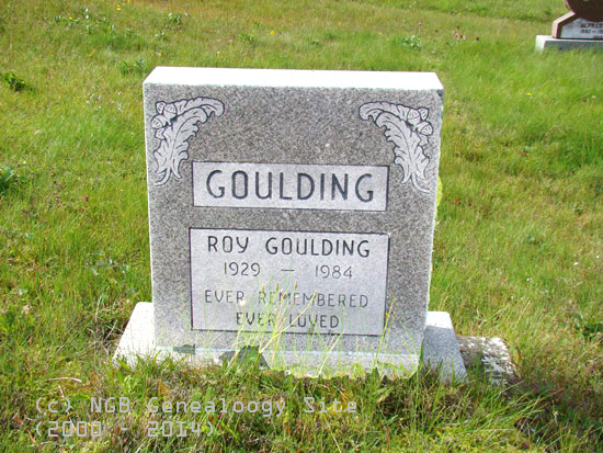 Roy Goulding