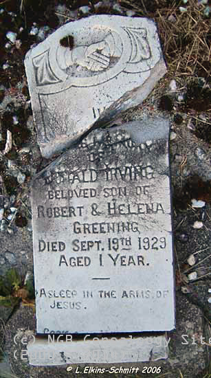 Donald Irving Greening