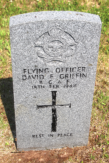 David F. Griffin
