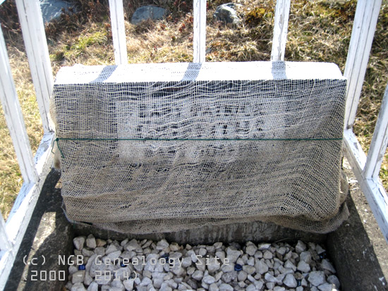 Babies - Patrick and Joseph Griffiths