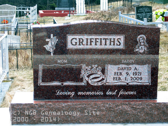 David A. Griffiths