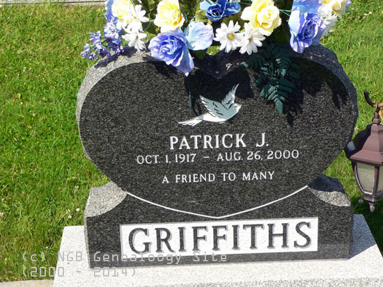 Patrick J. Griffiths