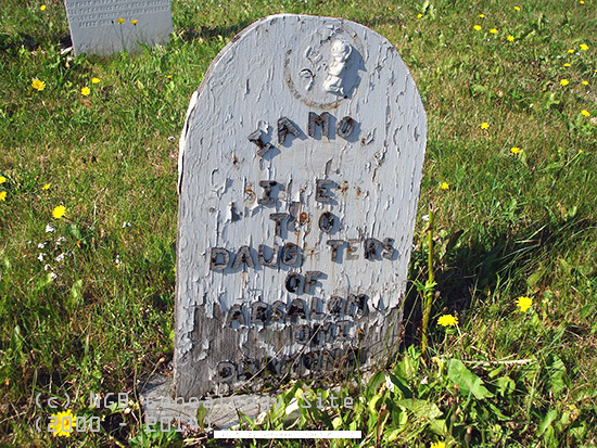 Unreadable 3 of 3 headstones