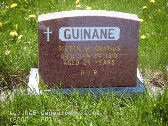 Sr. M. Ignatius Guinane