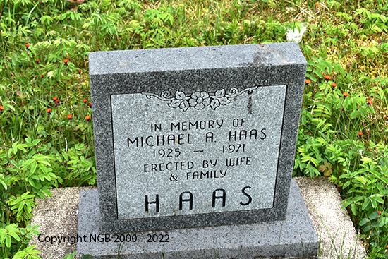 Michael A. Haas