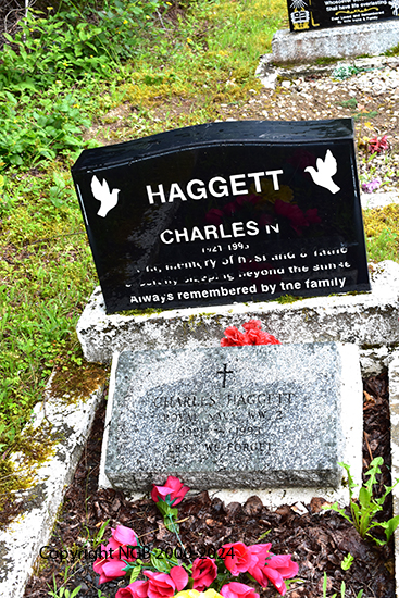 Charles N. Haggett