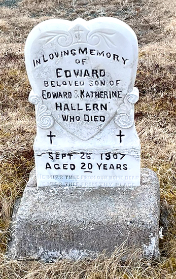 Edward Hallern