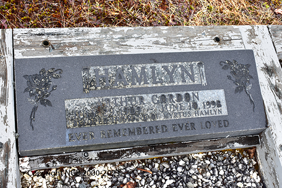 Arthur Gordon Hamlyn