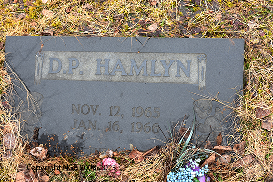 D. P. Hamlyn