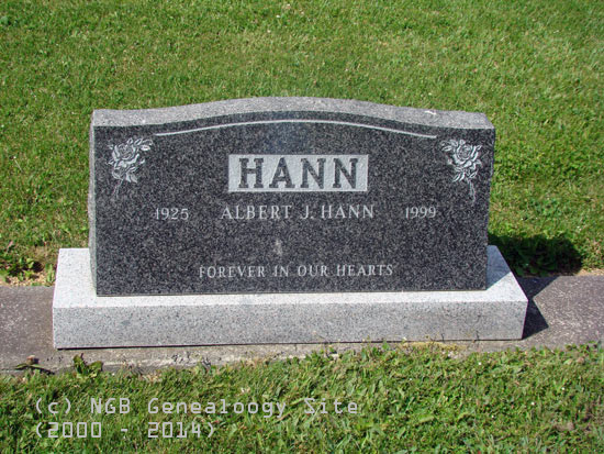 Albert J. Hann