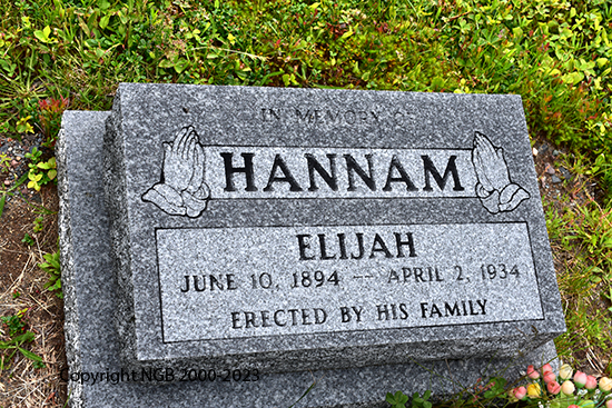 Elijah Hannam