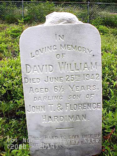 David William Handiman