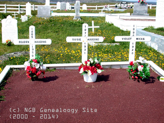 Reuben and Susie Harding and Violet Wicks