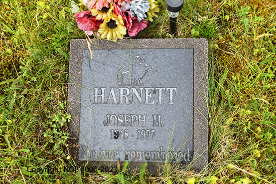 Joseph H. Harnett