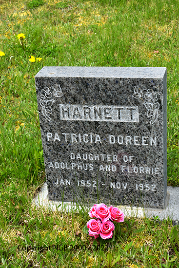 Patricia Doreen Harnett