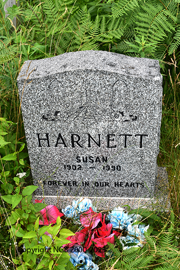Susan Harnett