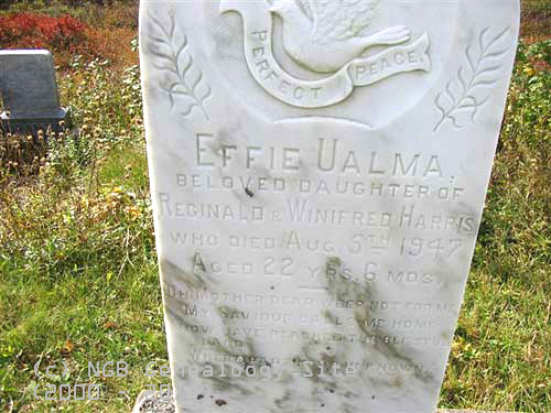 Effie Ualma Harris