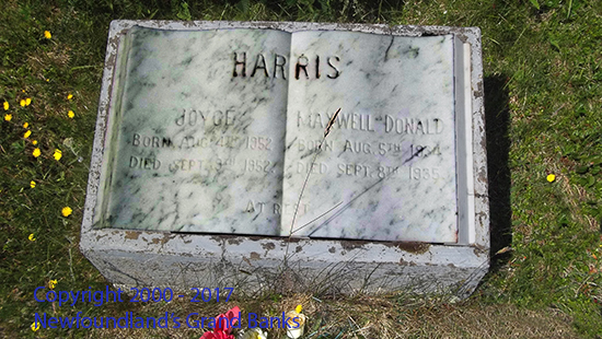 Joyce & Maxwell Donald Harris