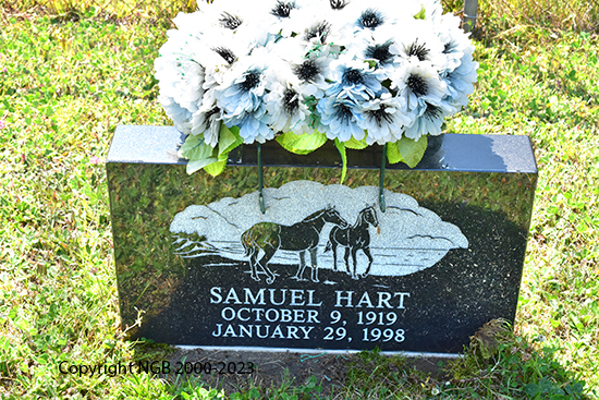 Samuel Hart