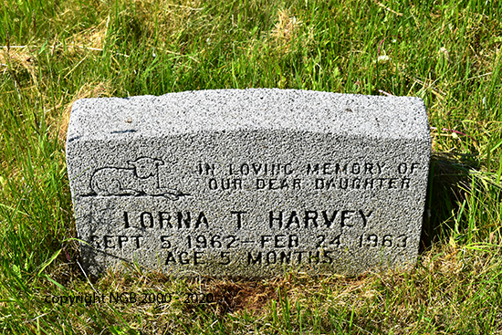 Lorna T. Harvey