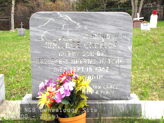 Wallace Charles Hatcher