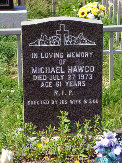Michael Hawco