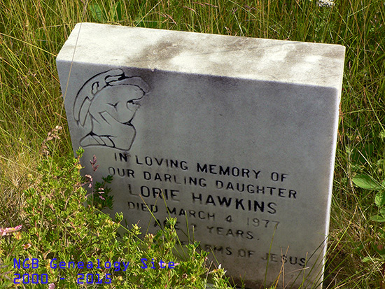 Lorie Hawkins