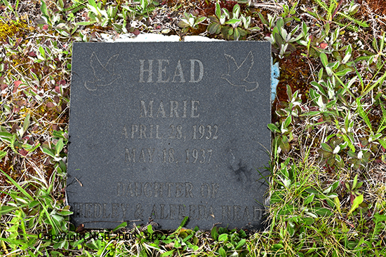 Marie Head