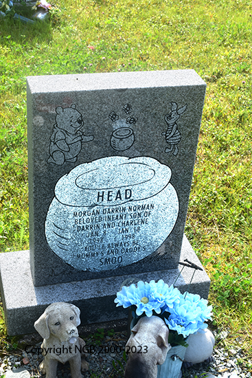 Morgan Darrin Norman Head