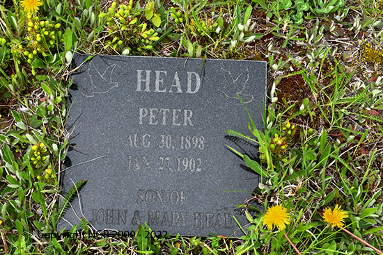 Peter Head