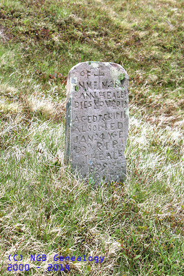 James & Ann Healey