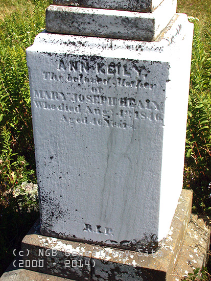 Mary, Ann, Mary & James Healy