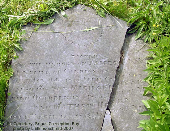 James. Michael & Mathew Hearn