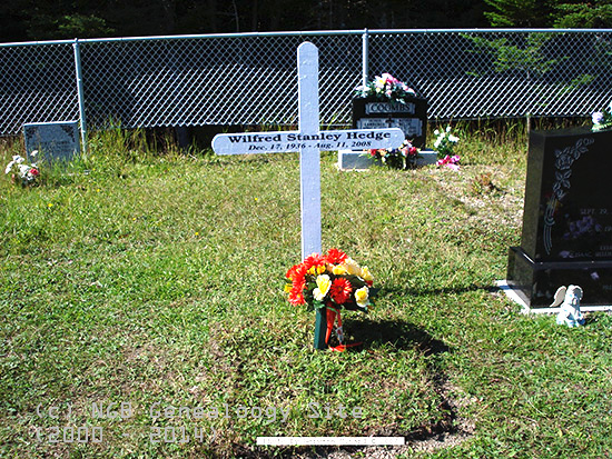 Wilfred Stanley Hedge