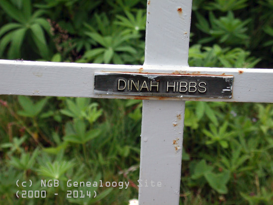 Dinah Hibbs