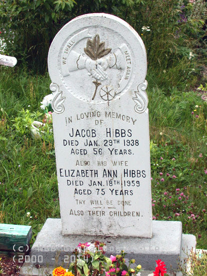 Jacob and Elizabeth Ann Hibbs