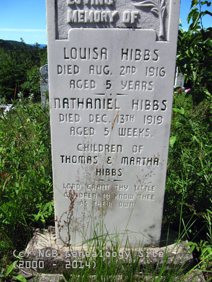 Louisa and Nathaniel Hibbs