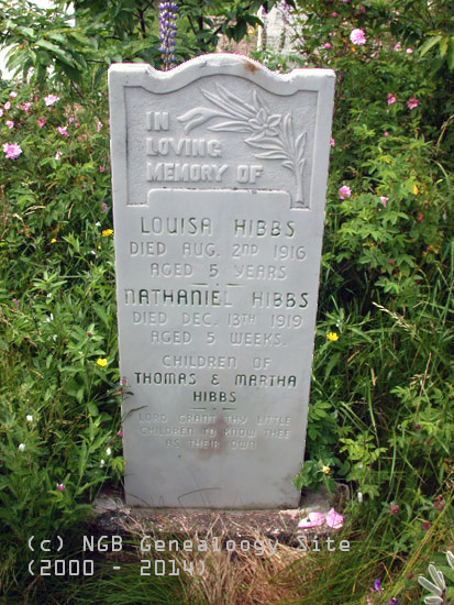 Louisa and Nathaniel Hibbs