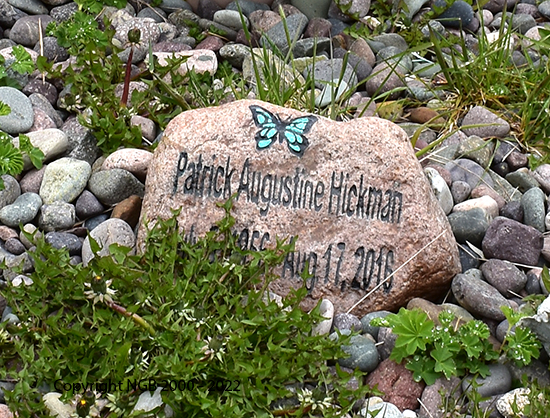 Patrick Augustine Hickman