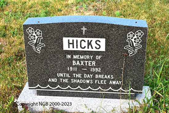 Baxter Hicks