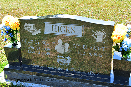Chesley Scott Hicks